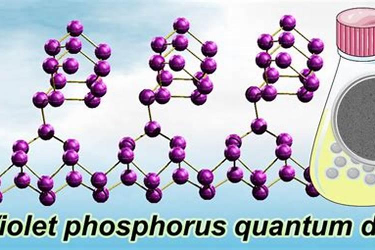 紫掌香妃的养殖方法和注意事项