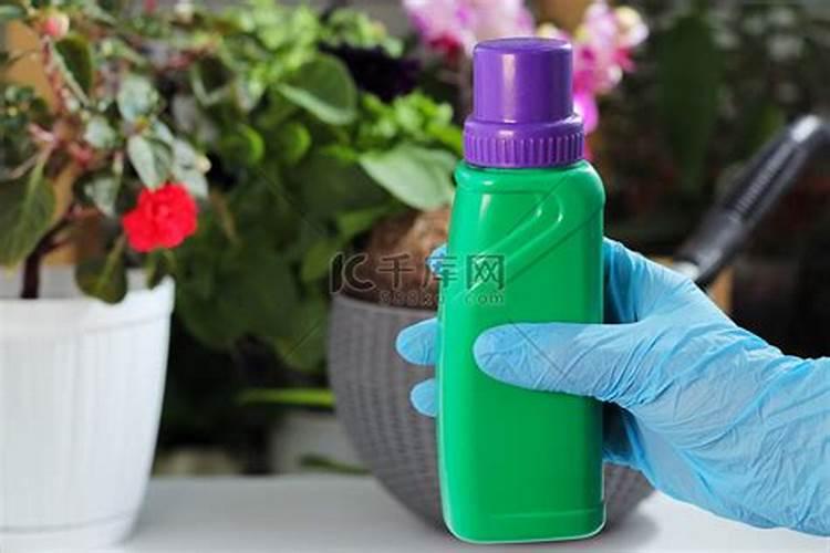 促进开花的肥料促开花需什么肥