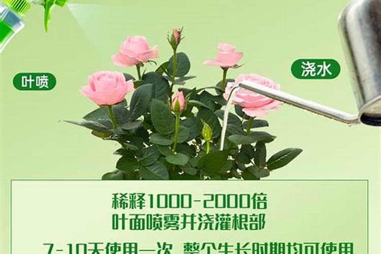 水稻分孽后期还可以打除草剂么？