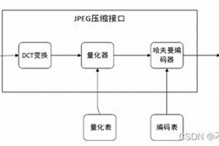 长叶雀稗栽培要点