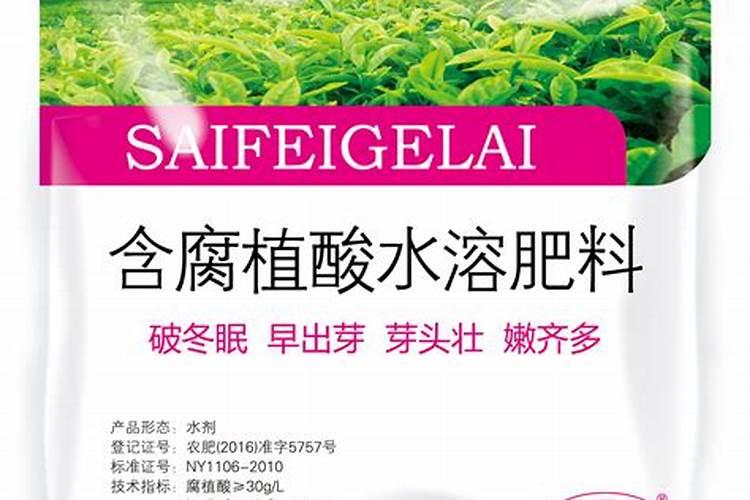 水培植物用什么肥料最有效果