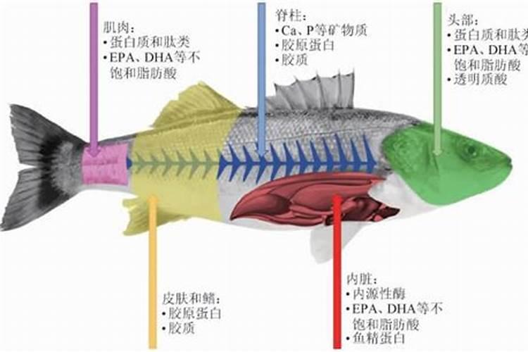 ...请列举三种调味剂。2、污水处理中有哪些主要的化学方法？