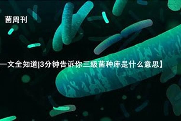 氮肥都有哪些？