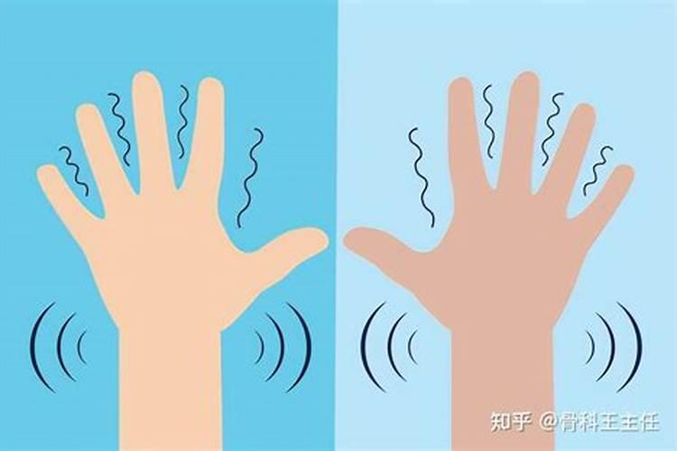 一盆花变10盆完全不剪100%成活!