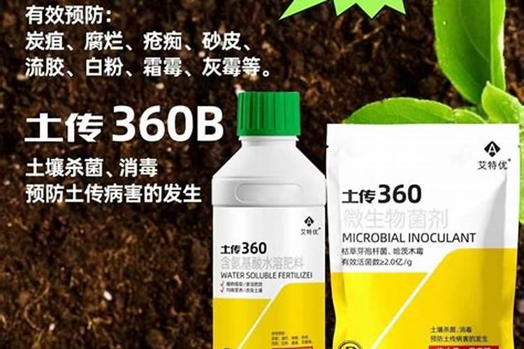 尖椒的种植广泛,尖椒种植技术要点是什么？