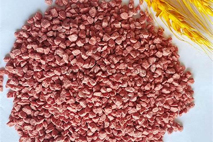 长寿花浇水方法