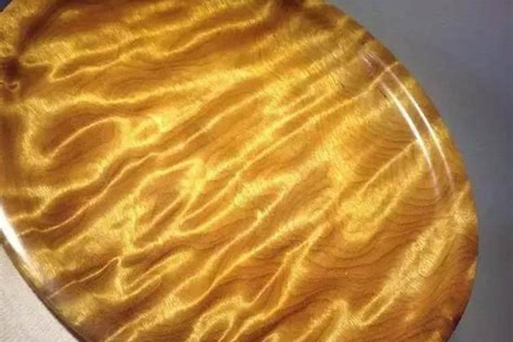 怎么让金丝南木快速生长