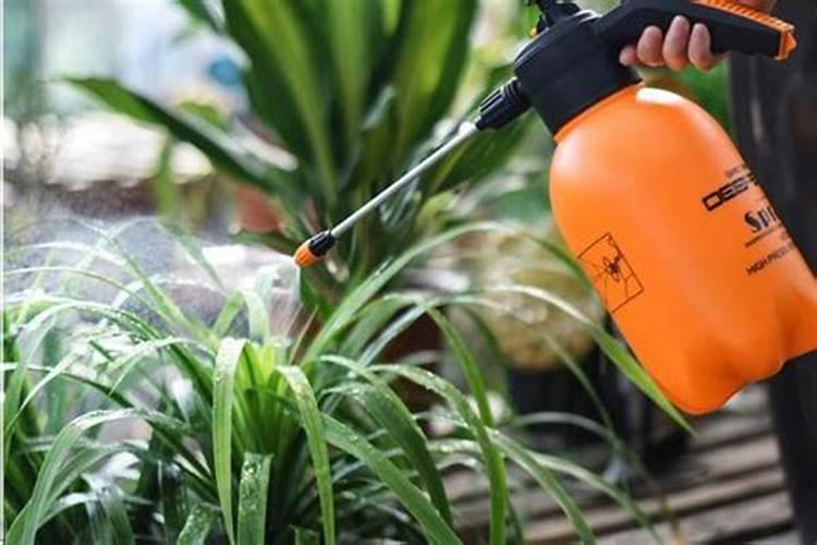 不能使用草木灰的蔬菜