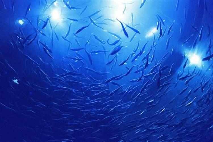 氮肥是什么肥料哪些属氮肥