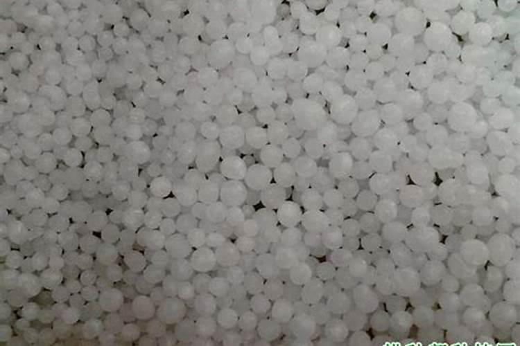 大棚樱桃树啥时候喂钙肥？