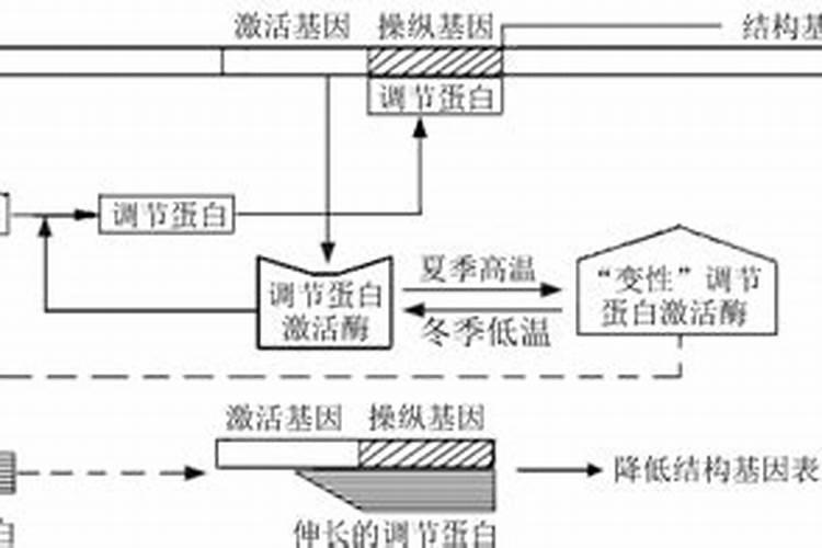 鱼塘上面漂了一层类似水绣的东西是怎么回事