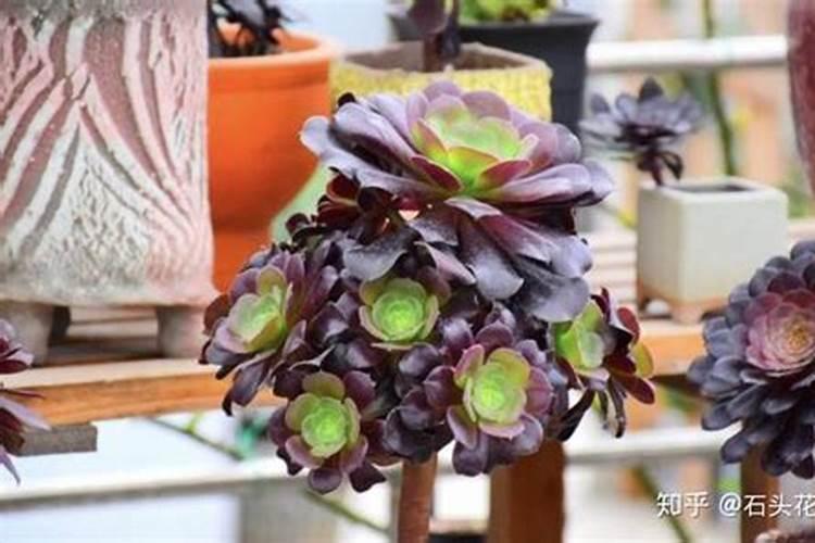 法师怎样才能爆多头