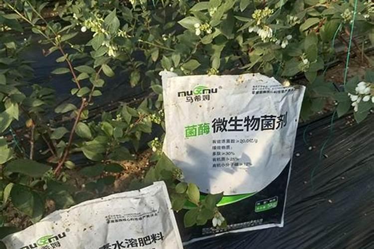 水溶肥未来市场趋势？