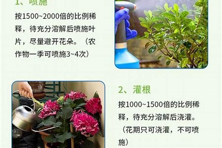 花上肥料上多了怎么办