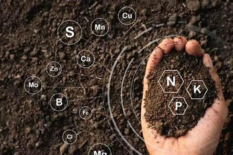 葫芦开裂什么原因