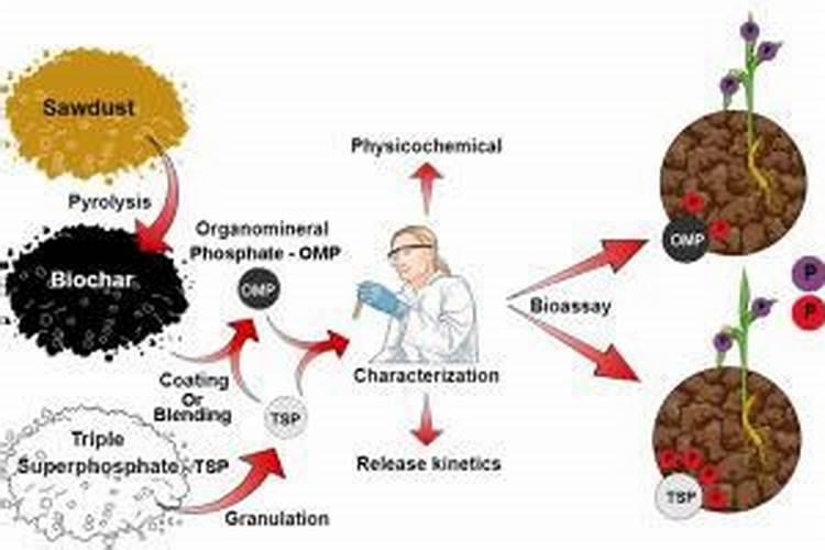 鱼塘套养黄鳝怎么日常管理 每10~15天追施一次