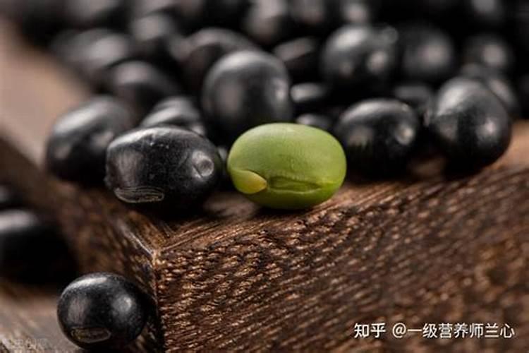 黑豆能做花肥吗 黑豆可以当肥料养花吗
