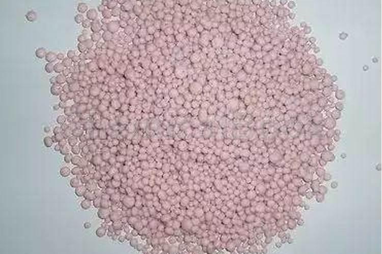 施钙肥哪时候最合适 钙肥最佳施肥时间