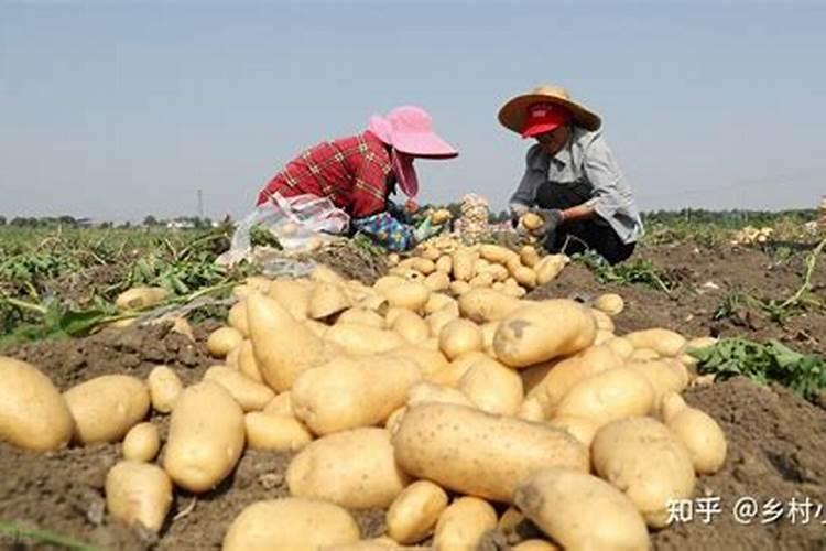 青岛海大生物有限公司的产品