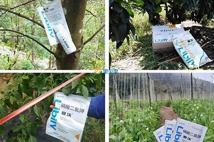 哈尔滨盛恒泉生物能基因活力水有限公司公司简介