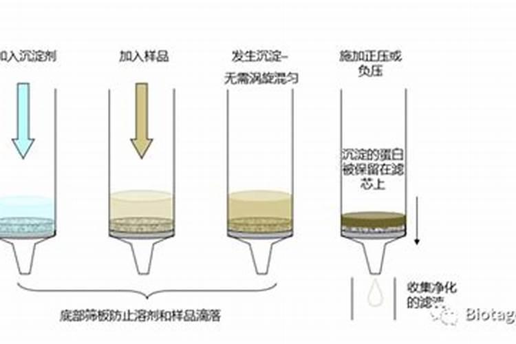 盐析法沉淀蛋白质的原理