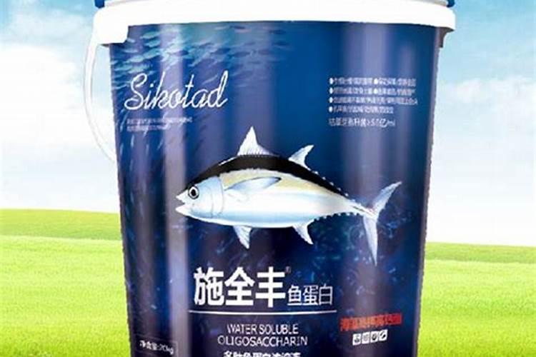 鱼蛋白的做法都有什么呢？