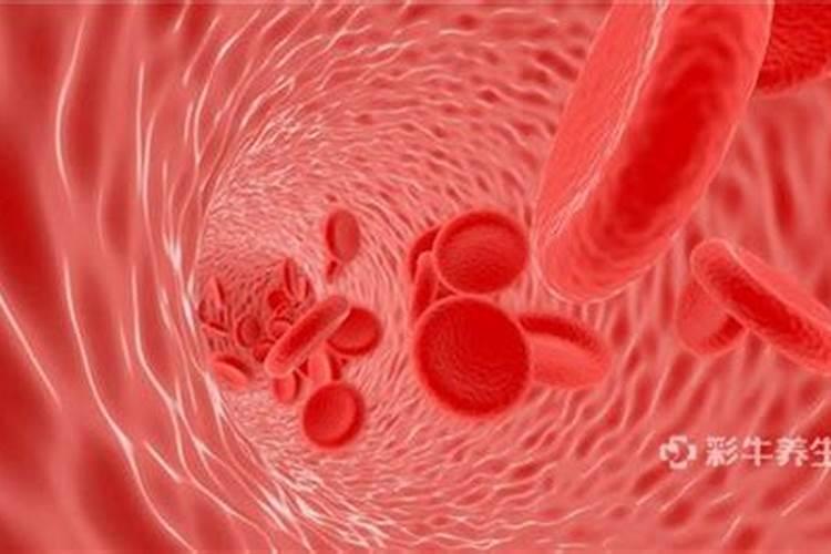 2岁半宝宝碱性磷酸酶偏高、镁磷高是怎么回事  百度宝宝知道