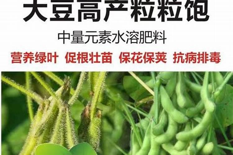 大豆开花期能打叶面肥吗