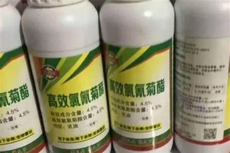 水溶肥什么品牌好？