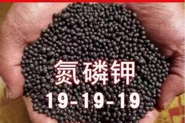 哈密瓜增甜增产施哈密瓜水溶肥的技巧