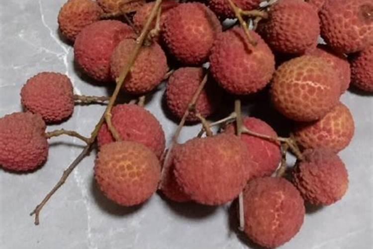 荔枝怎么种植发芽才快