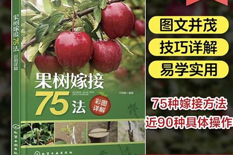 嫁接果树秋季可不可以施肥