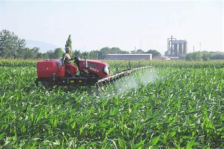 优马壹旦叶面肥怎样