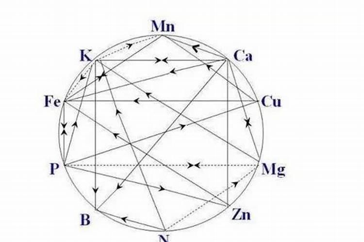 钾肥过量有什么危害科学施肥