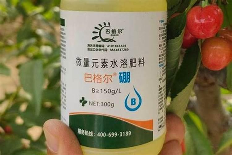 红薯叶面肥用芸乐收可以吗