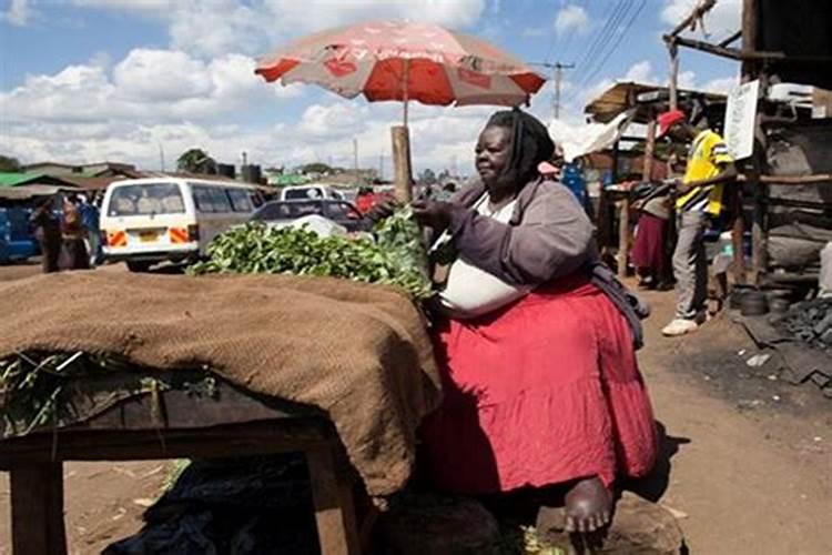 肥婆奶奶扭计媳的剧情简介