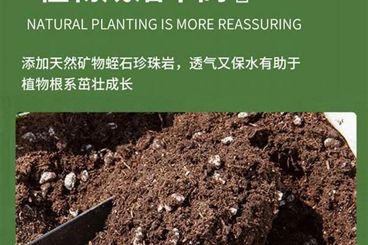 种菜用什么肥料最好 用什么肥料种菜好