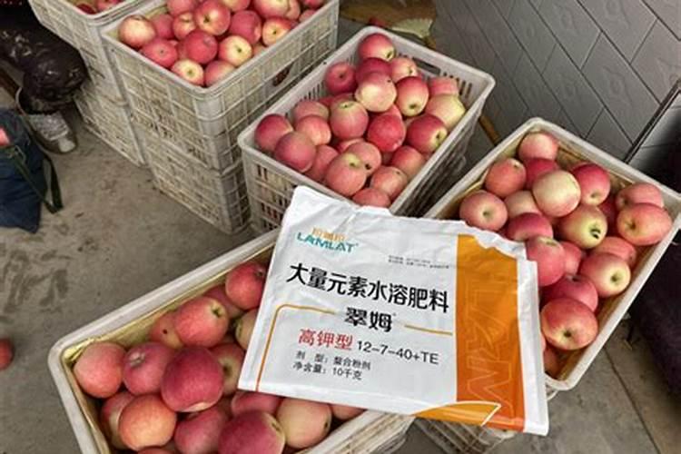 依邦靓果水溶肥属于什么档次