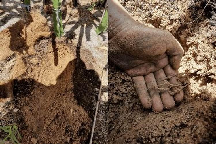 土地漏水怎么处理