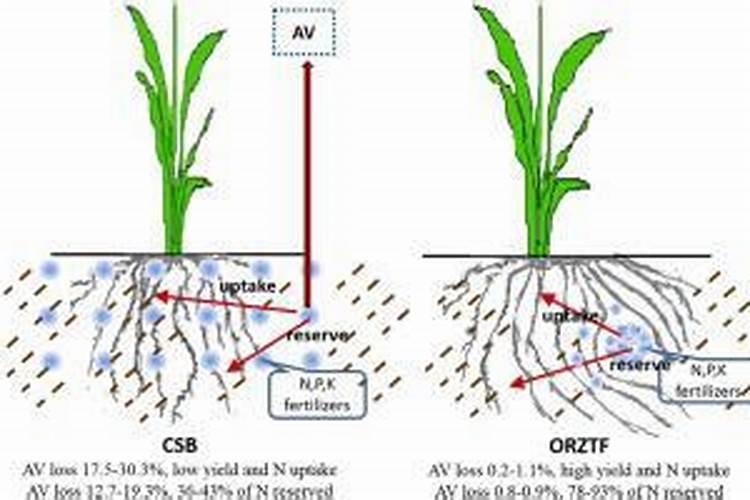 怎样区分氮肥和磷肥和钾肥
