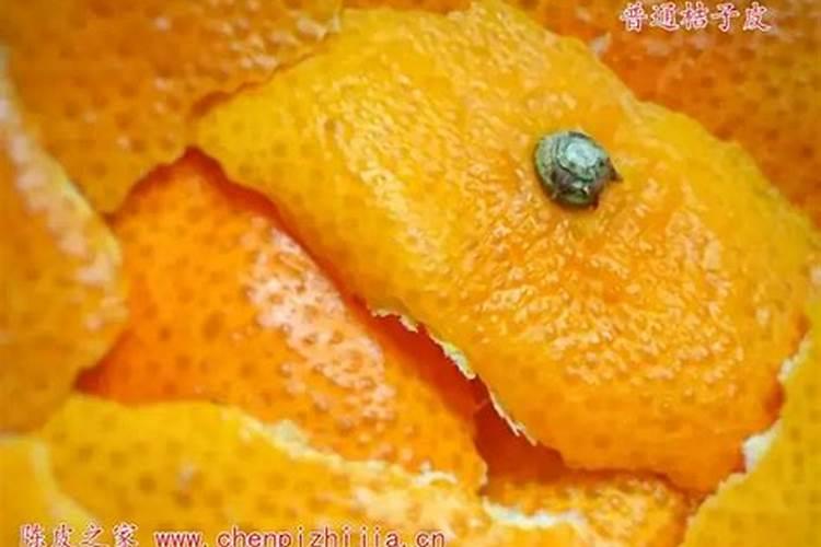 橘子皮泡水发酵后,算是通用肥还是氮肥？