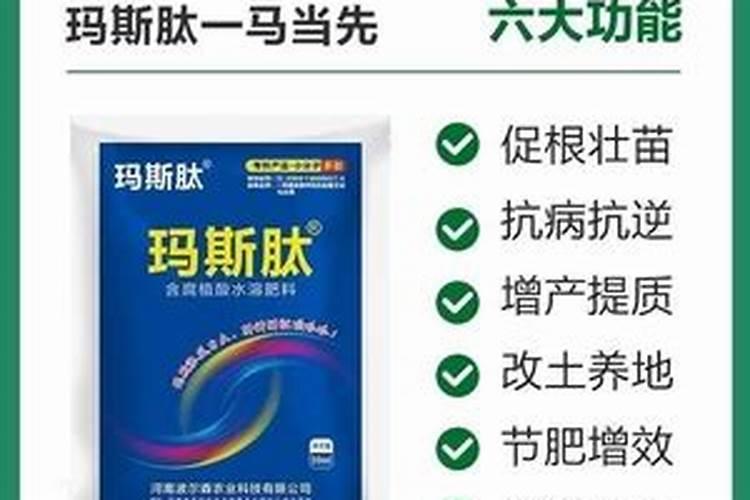 苹果二次膨大期如何施水溶肥 苹果二次膨大期施苹果水溶肥的方法
