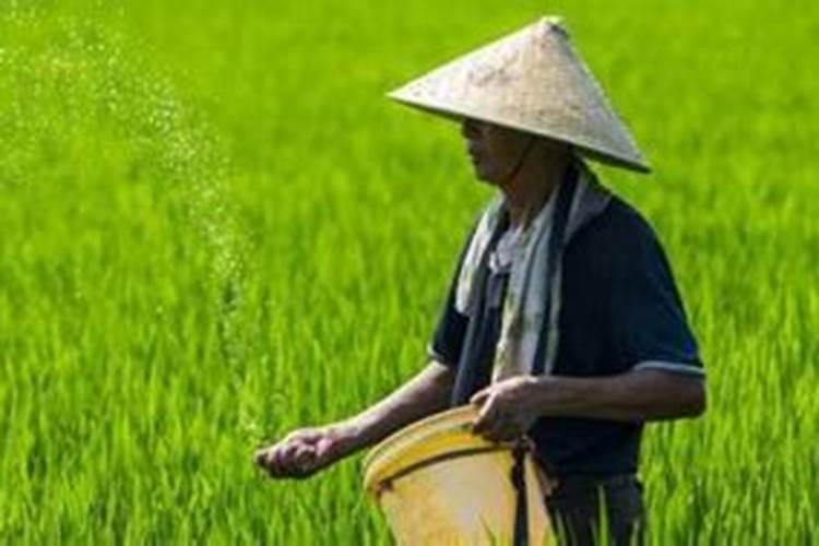 西红柿果实膨大用什么肥？水溶肥怎么正确使用？