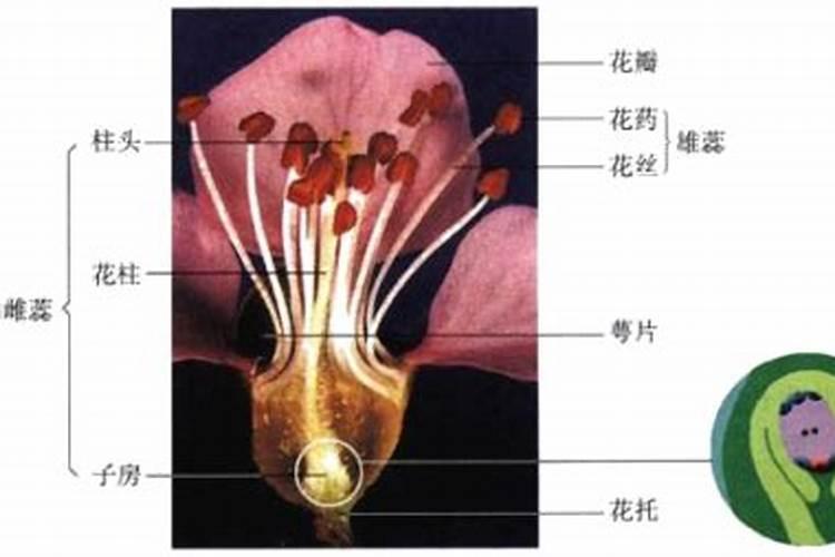 水溶肥的生产配方是什么？