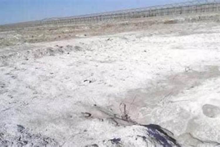 化肥能用来养花吗