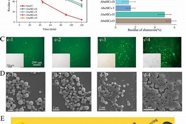 钾肥认沽权证遭遇恶炒的过程