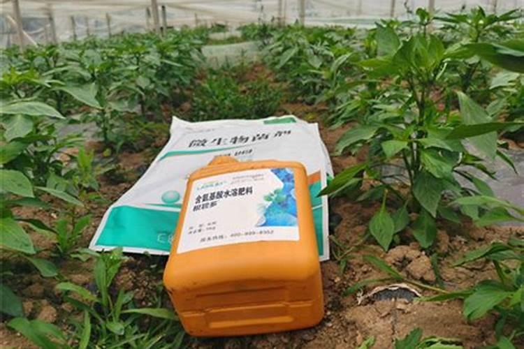 国内排名前十名的水溶肥