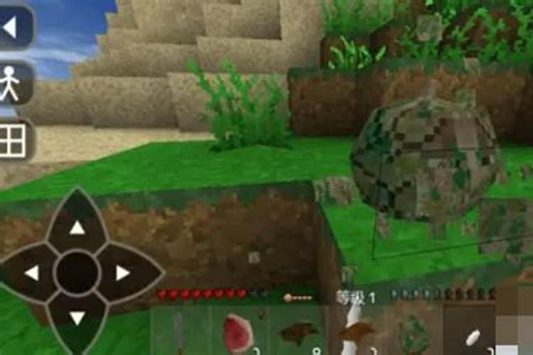 阳台种花怎样自制肥料 自制肥料用什么最好