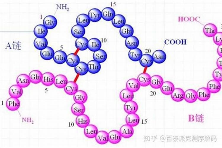 水溶肥料有哪些种类 水溶肥选哪种剂型好