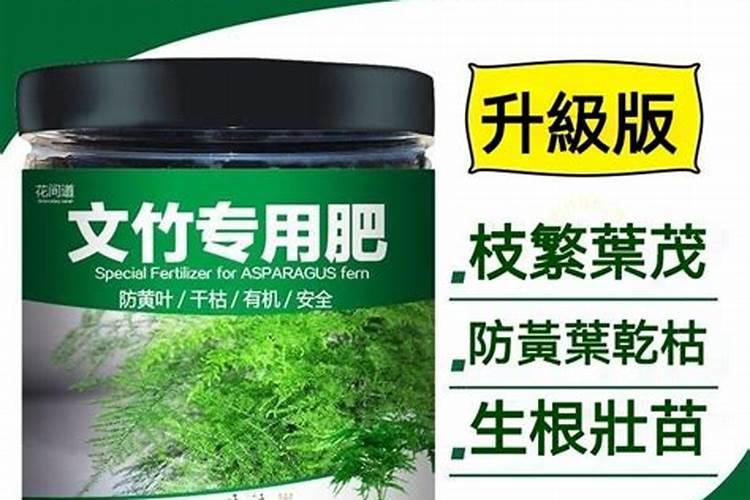 养文竹应该施什么肥料啊？